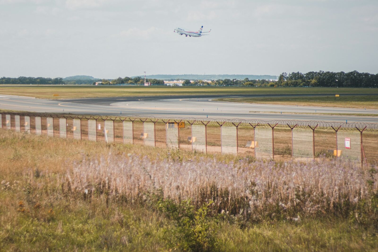 Aircraft landing over grass beside a runway