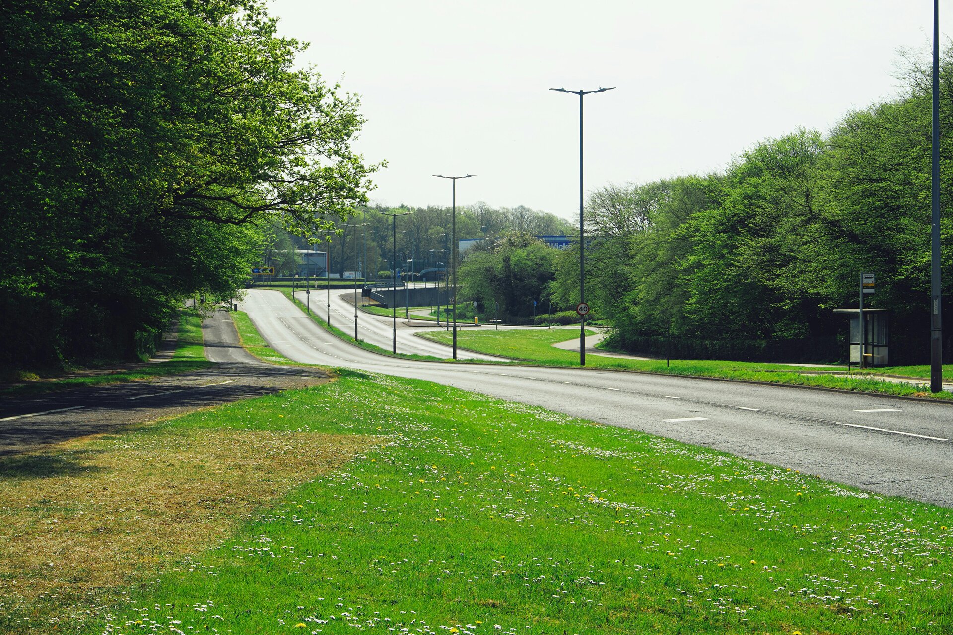 Council-maintained verge along an Australian road