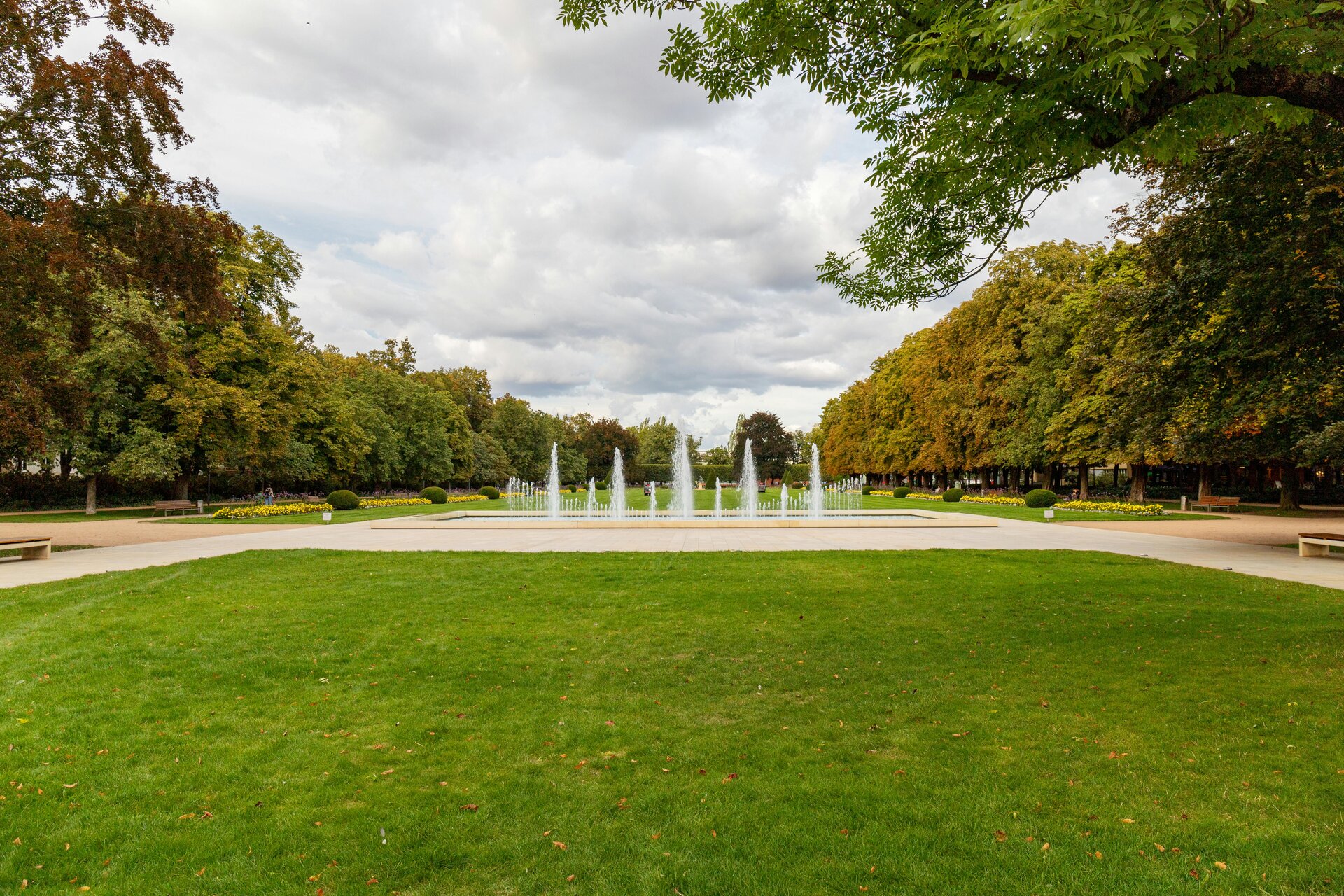 Public park with mature trees and mown grass