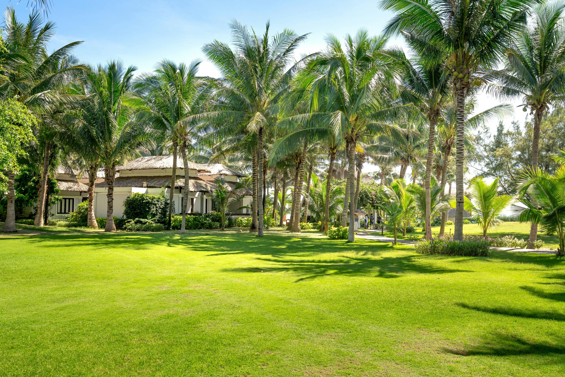 Boutique resort grounds with palm-fringed lawns