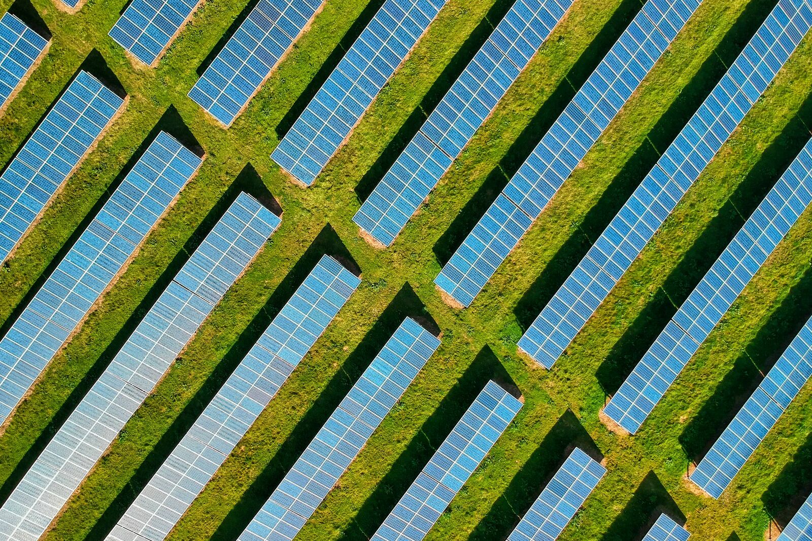 Grass strips between solar arrays on a utility-scale site