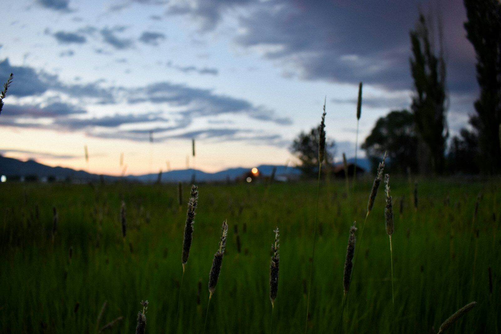 Open paddock at dusk. LiDAR and RTK do not need daylight, so an autonomous mower can work after the light has gone